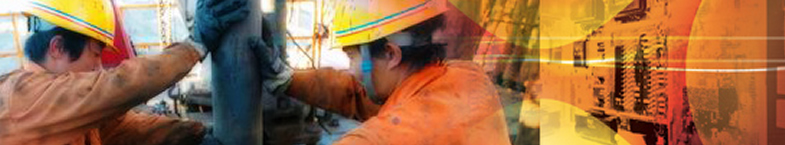 Wiper Plugs, Wiper Elements